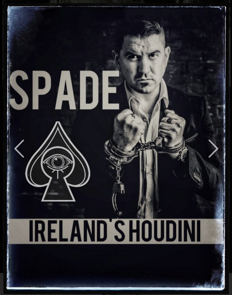 Steve-spade-main-profile-image.jpg